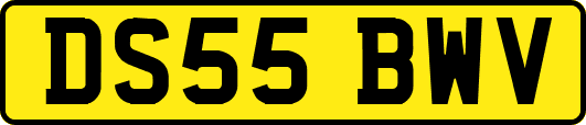 DS55BWV