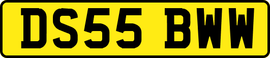 DS55BWW
