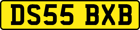 DS55BXB