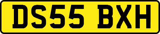 DS55BXH