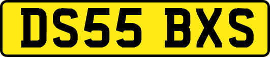 DS55BXS