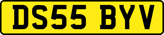 DS55BYV