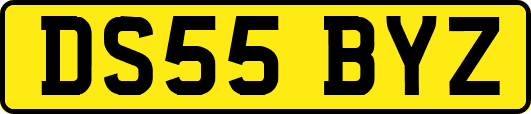 DS55BYZ