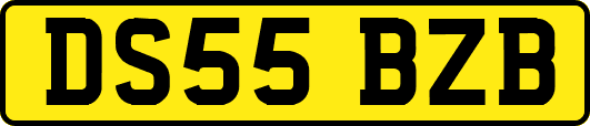 DS55BZB