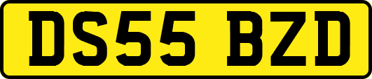 DS55BZD
