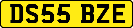DS55BZE
