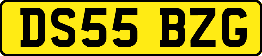 DS55BZG