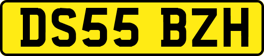 DS55BZH