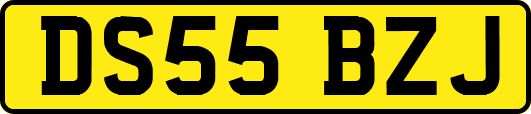 DS55BZJ