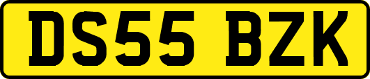 DS55BZK