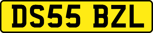 DS55BZL