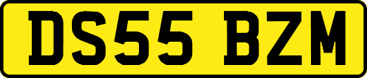 DS55BZM