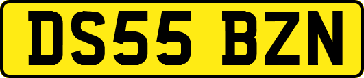 DS55BZN