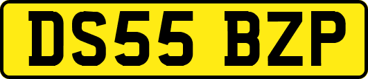 DS55BZP