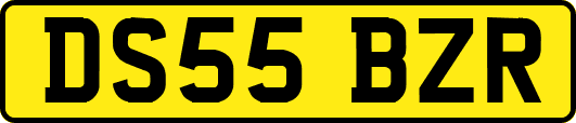 DS55BZR