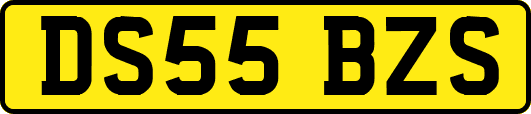 DS55BZS