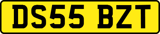 DS55BZT