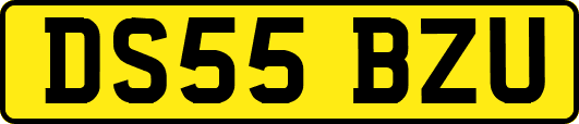 DS55BZU