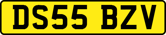 DS55BZV