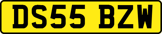 DS55BZW