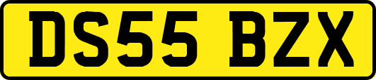 DS55BZX