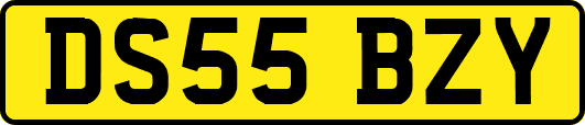 DS55BZY