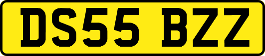 DS55BZZ