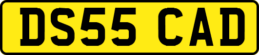 DS55CAD
