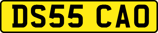 DS55CAO
