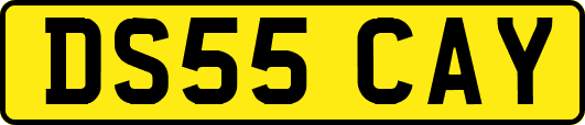 DS55CAY