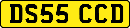 DS55CCD