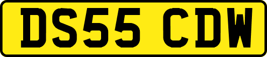 DS55CDW