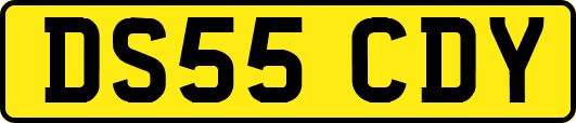 DS55CDY