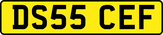 DS55CEF