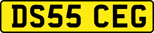 DS55CEG