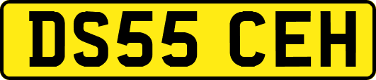 DS55CEH