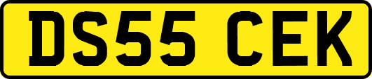 DS55CEK