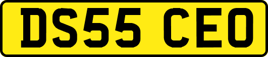 DS55CEO