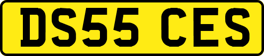 DS55CES