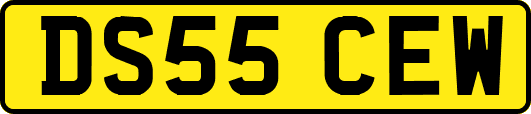DS55CEW