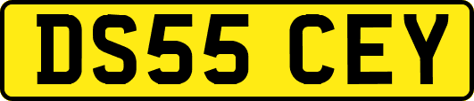 DS55CEY