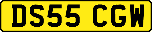 DS55CGW