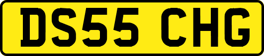 DS55CHG
