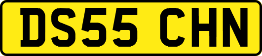 DS55CHN