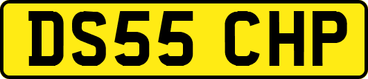 DS55CHP
