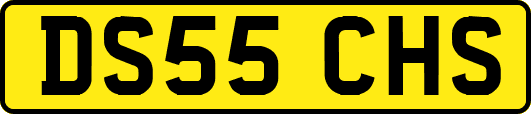 DS55CHS