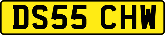 DS55CHW