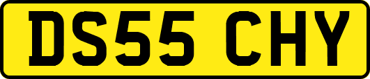 DS55CHY