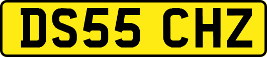 DS55CHZ
