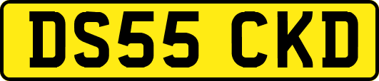 DS55CKD